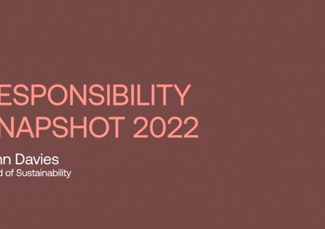 Responsibility Snapshot 2022