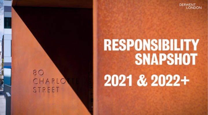 Responsibility Snapshot