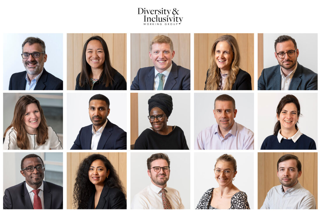 Diversity & Inclusion image