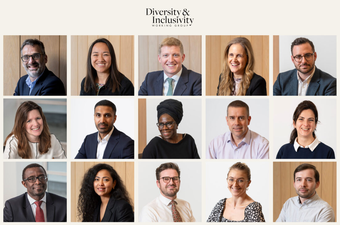 Diversity & Inclusion image
