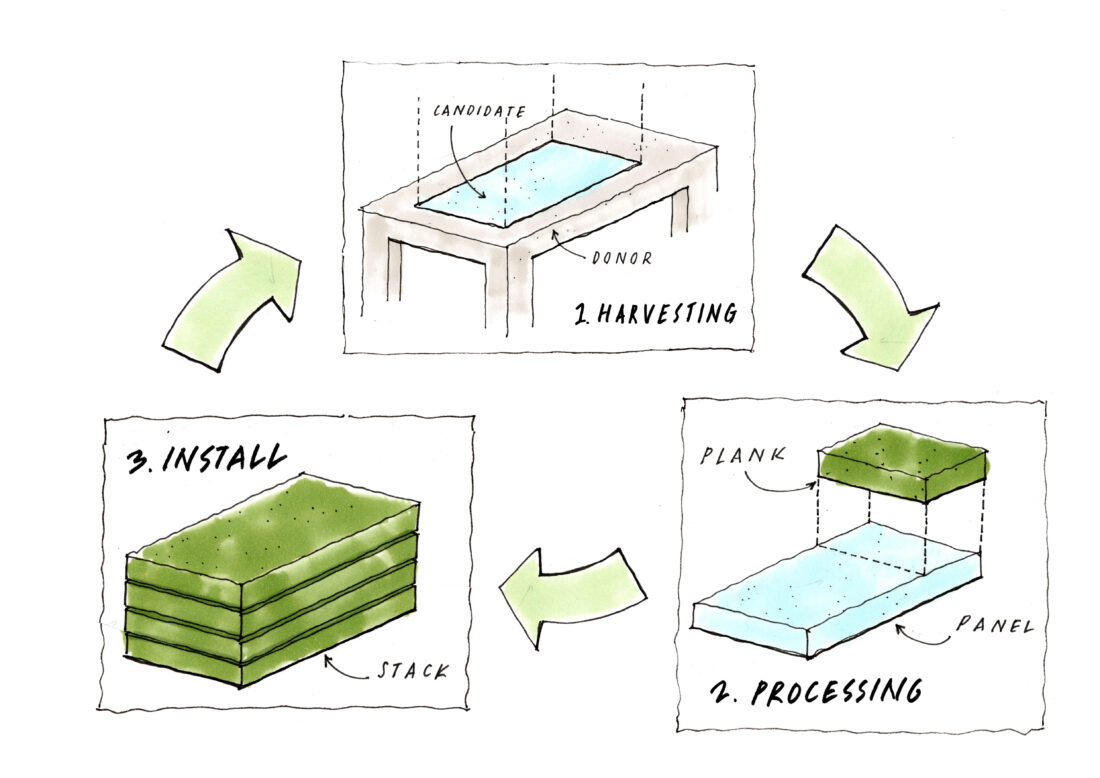 Artist sketch explaining the circular economy of the PRECS chain of custody, from harvesting to processing to install