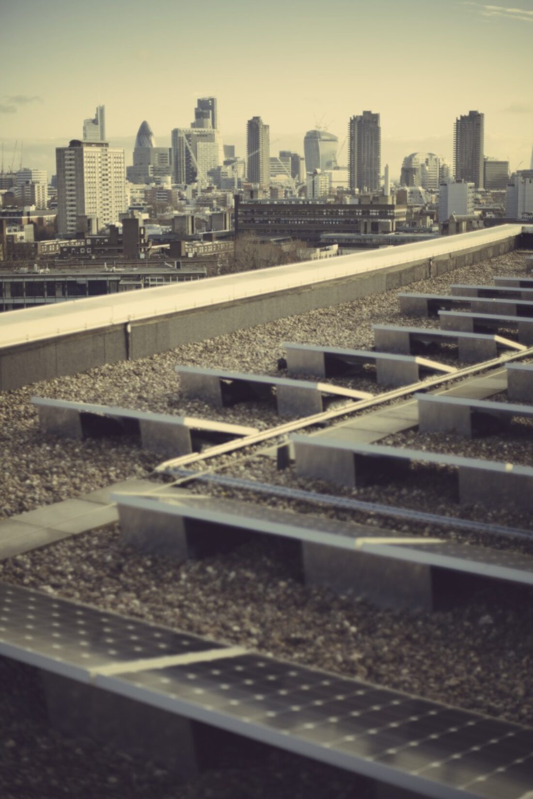 Sustainability Newsletter launches image