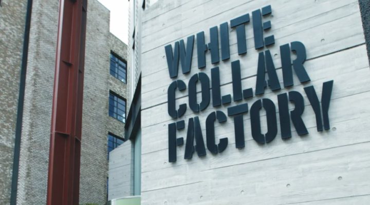 Occupier Insights: Brainlabs